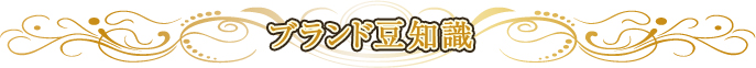 ブランド豆知識